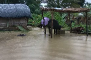 बलरामपुर में उफान पर आया खरझार के पहाड़ी नाले, बाढ़ आने से आधा दर्जन गांव जलमग्न 