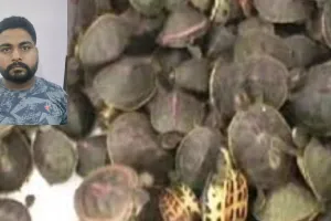 कछुआ तस्कर को STF ने दबोचा, 20 कछुए, मोबाइल समेत स्कूटी बरामद