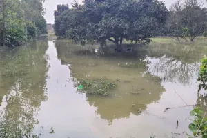 UP: हुसैनगंज में खतरे के निशान से 0.81 मीटर नीचे बह रही रामगंगा