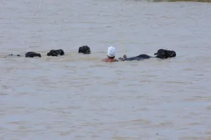 Moradabad : 284 मिलीमीटर बारिश ने तोड़ा कई वर्षों का रिकॉर्ड