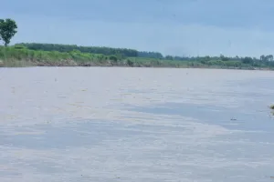 Moradabad : जिले में 278.88 एमएम बारिश, नदियों का जलस्तर बढ़ने से बाढ़ का खतरा