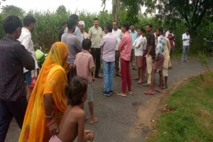 लखीमपुर खीरी : बेहजम क्षेत्र में टाइगर के पगमार्क मिलने से हड़कंप