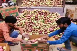 Moradabad news: जम्मू कश्मीर, हिमाचल और पंजाब की बाढ़ ने बिगाड़ा सेब का स्वाद
