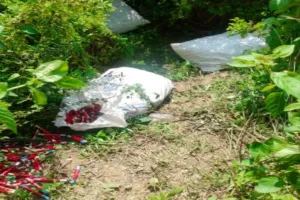 बाराबंकी : नहर किनारे बोरियों में मिला लावारिस विस्फोटक, वैन से आए अज्ञात लोगों ने बोरियां फेंकी