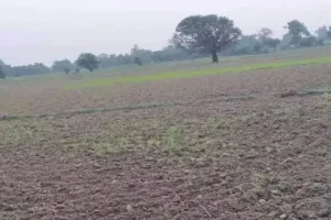 बरेली : चौबारी मुस्तकिल गांव की जमीन के मुआवजा राशि तय करने की तैयारी