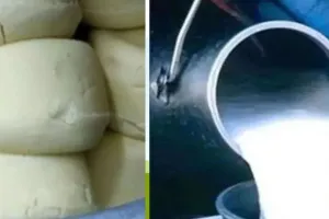 त्योहारों से पहले UP में मिलावटखोरों पर कार्रवाई, अब तक तीन हजार क्विंटल से अधिक मिलावटी खाद्य सामग्री जब्त 