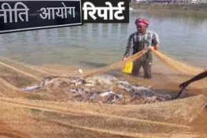 भारत की समुद्री अर्थव्यवस्था को मजबूत बनाने की जरूरत, जानें क्या कहती है नीति आयोग की रिपोर्ट