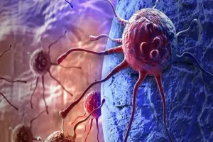 Big Update on Cancer: IISER कोलकाता ने कैंसर से लड़ने के लिए अनुकूल बैक्टीरिया किया विकसित 