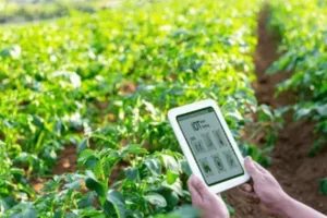 किसानों को नई तकनीक से जोड़ने का लक्ष्य, 8 हजार से अधिक किसान पाठशालाएं लगाकर दी जाएगी जानकारी