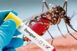 UP News: इस साल कम डेंगू और चिकनगुनिया का कहर... सीएमओ ने जारी किए आंकड़ें 