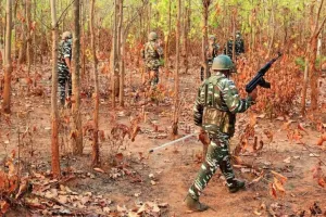 Chhattisgarh News: बीजापुर के जंगलों से भारी मात्रा में विस्फोटक बरामद, चलाया जा रहा सर्च अभिायन