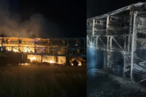 Andhra Pradesh bus fire: कुरनूल में दिल दहला देने वाला हादसा, यात्रियों से भरी बस में लगी आग, 12 लोग जिंदा जले, राष्ट्रपति और मुख्यमंत्री ने जताया शोक