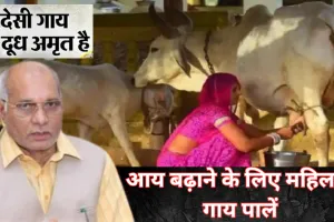 आय बढ़ाने के लिए महिलाएं पालें गाय... बलो मंत्री धर्मपाल,  दीपावली मेले में बच्चों संग मनाई खुशियां