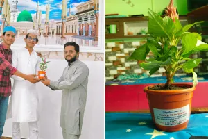 पर्यावरण संरक्षण : विवाह की धूम को संदेश में बदला...गमले में पौधा लगाकर शादी की दावत दे रहे फैसल