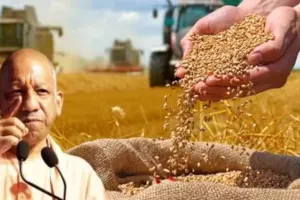 यूपी ने पंजाब के किसानों को भेजा गेहूं के उन्नत 1 हजार क्विंटल बीज, बाढ़ से बेहाल हुए लोगों तक सीएम योगी ने पहुँचायी राहत सामग्री 