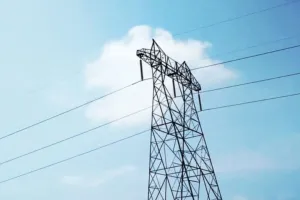 बिजली विभाग की लापरवाही की भेट चढ़ा जंगली हाथी: हाई-टेंशन तार की चपेट में आकर मौत, खेतों में भटक गया था 