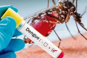 आरडीटी किट से नहीं एलाइजा टेस्ट से होती है डेंगू की पुष्टि, CMO ने निजी पैथोलॉजी व डायग्नोस्टिक सेंटर संचालकों के साथ की बैठक