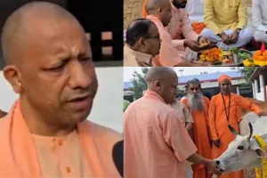 Govardhan Puja:  CM योगी ने की गोवर्धन पूजा...प्रदेशवासियों को दी शुभकामनाएं, गोरखनाथ मंदिर की गोशाला में गायों को खिलाया गुड़ चना