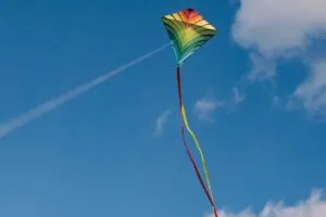  आसमान यूपी का सियासी पेंच बिहार का...  आसमान में उड़ते नेताओं के पेंच काटने की कोशिश 