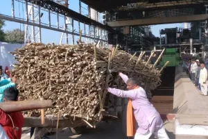 कुशीनगर में पेराई सत्र का शुभारंभ: गन्ना किसानों के लिए नवंबर के पहले सप्ताह से शुरु होगी प्रक्रिया, निर्देश जारी