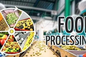 कानपुर में फूड प्रोसिसिंग सेक्टर में तेजी से इजाफा:  बढ़ती मांग के चलते कई युनिट शुरू, बढ़ेगा रोजगार  