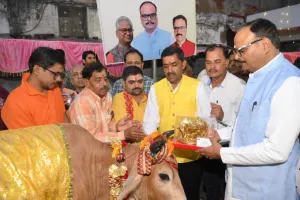 तिलक किया, चुनरी ओढ़ाई और गाय को खिलाया गुड़... गोपाष्टमी पर उप मुख्यमंत्री, पर्यटन मंत्री, विधायक और एमएलसी ने की गायों की पूजा