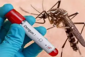 धावापुर में 77 के नमूने लिए... किसी को नहीं निकला डेंगू-मलेरिया, डिप्टी CMO की टीम ने घर-घर जाकर की जांच