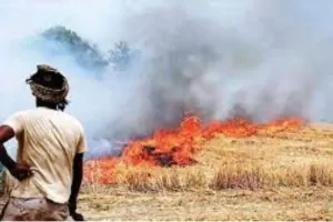 पराली जलाने की घटनाओं को रोकें DM... वीडियो कॉन्फ्रेसिंग के जरिये दिशा-निर्देश जारी, 10 अक्टूबर तक करायें पूरा