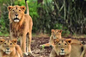 ग्लोबल वाइल्डलाइफ फेयर की शुरुआत, यूपी के स्थलों ने किया आकर्षित