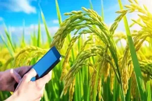 Digital Crop Survey:  क्रॉप सर्वे में राजधानी की लंबी छलांग, 66वें स्थान से तीसरे स्थान पर पहुंचा लखनऊ..