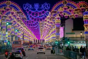 दिवाली मनाएगा सिंगापुर... रंगारंग तैयारियां शुरू, सांस्कृतिक एकता का दिखा अद्भुत नज़ारा