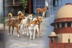 Stray Dogs :  आवारा कुत्तों के मामले में SC ने ठुकराई राज्यों की मांग, मुख्य सचिवों को प्रत्यक्ष तौर पर होना होगा पेश 