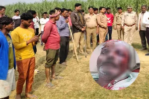 लखीमपुर खीरी : खेत में चारा लेने गए किसान पर बाघ ने किया हमला 