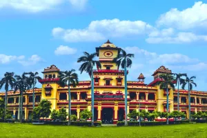 आईआईटी बीएचयू के शोधकर्ताओं ने हासिल बड़ी उपलब्धि, सूजन के लिये विकसित की पॉलिमरिक नैनोमेडिसिन 