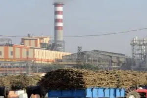 किसानों के लिए खुशखबरी, उत्तर प्रदेश की 21 चीनी मिलों ने शुरू किया गन्ना पेराई कार्य