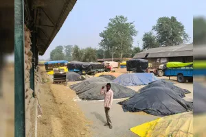 पीलीभीत: पूरनपुर मंडी में आरएफसी के क्रय केंद्रों पर तौल बंद, एक दिन पूर्व केंद्र प्रभारी और एमओ से विवाद का असर 