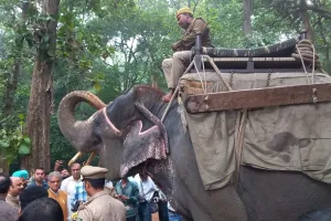 UP:  दुधवा पार्क खुलते ही उमड़े सैलानी, रंग-बिरंगी गाड़ियों से पहुंचे लोग