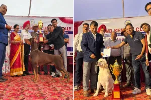 डॉग शो : 27 बार का विजेता ''रेड'' बना चैंपियन...हैंडलर संग केमिस्ट्री में जीता ''मिस्टर व्हाइट''