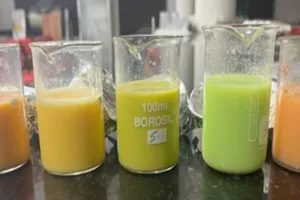 Bareilly: CARI में तैयार एग ड्रिंक देगा एनर्जी और प्रोटीन शेक को टक्कर...देश में पहली बार बनी ये तकनीक