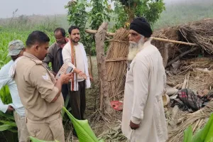 UP: 20 से ज्यादा नेपाली हाथियों ने बोला था धाबा...PTR की महोफ रेंज में अब भी गजराज का डेरा