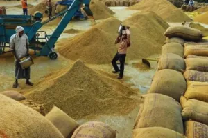 UP News:  पूर्वी यूपी में आज से होगी धान खरीद, 28 फरवरी तक चलेगा अभियान