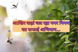 आखिर कहां चल रहा नगर निगम का सफाई अभियान... मच्छरों के डंक बढ़ा रहे शहर के लोगों की परेशानी