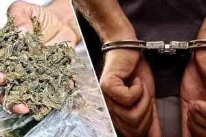 UP News:  ANTF ने अमेरिकन गांजे के साथ दो तस्कर को किया गिरफ्तार... फर्जी दरोगा बनकर तस्करी करने वाले दो फरार, तलाश जारी