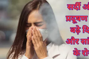 Alert: सर्दी और प्रदूषण से बढ़े दिल और सांस के रोगी...बचाव के लिए तुरंत करें ये काम