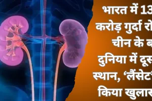 भारत में 13.8 करोड़ गुर्दा रोगी... चीन के बाद दुनिया में दूसरा स्थान, ‘लैंसेट’ अध्ययन ने किया खुलासा!