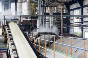 मसौधा चीनी मिल में गन्ना पेराई सत्र का शुभारंभ... पेराई सत्र में 1.20 करोड़ क्विंटल गन्ना पेरने का लक्ष्य