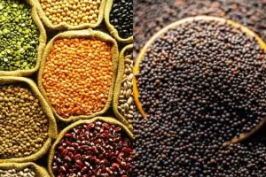 Ayodhya News: प्रदेश को दलहन, तिलहन में आत्मनिर्भर बनाने का आह्वान, कृषि विश्वविद्यालय में हुई अयोध्या और देवीपाटन मंडल की संयुक्त रबी उत्पादकता गोष्ठी