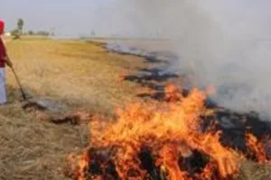 UP News:  20 जिलों में पराली जलाने पर लगा अंकुश, नहीं मानें तो लगेगा जुर्माना