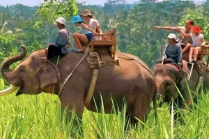 Good News: कर रहे हैं उत्तराखंड जाने की प्लानिंग... तो फिर शुरू हुई कॉर्बेट पार्क में हाथी सफारी और वॉच टावर की सुविधा 