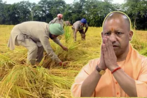 योगी सरकार ‘गैर-हाइब्रिड’ धान पर देगी एक प्रतिशत की छूट, 15 लाख किसानों को होगा लाभ, बोले CM Yogi- राइस मिलर्स न केवल...
